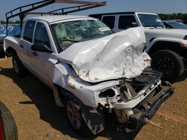 DODGE DAKOTA QUA 2005 with VIN 1D7HE48N65S165175 - Photo from auction