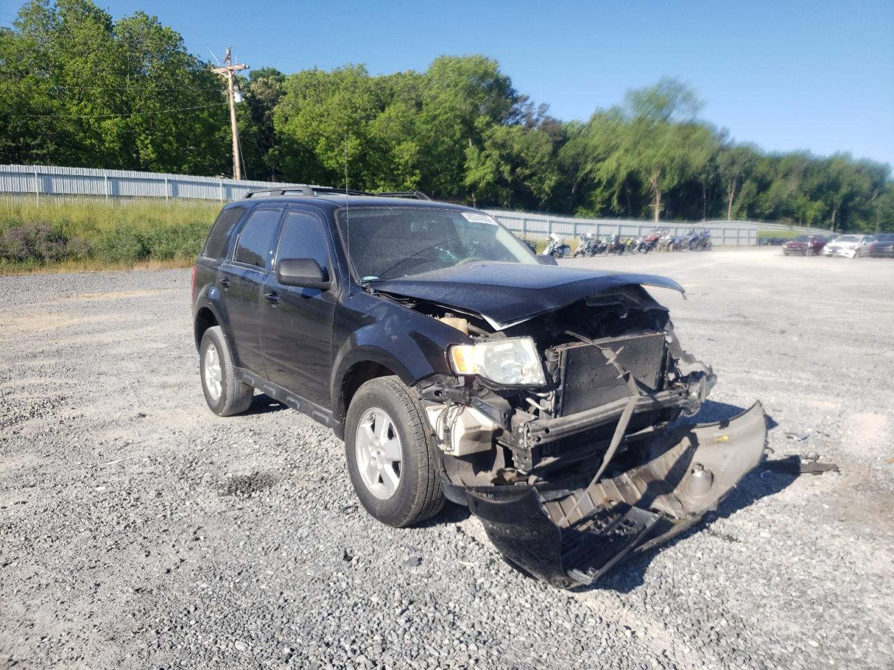 FORD ESCAPE XLS 2009 with VIN 1FMCU02729KD06089 - Photo from auction