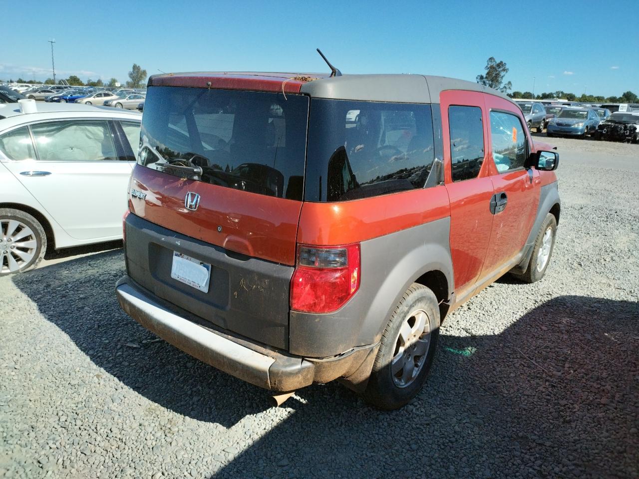 Photo 4 from auction – 2004 HONDA ELEMENT EX with VIN 5J6YH28504L032162