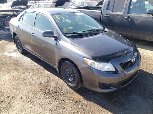 TOYOTA COROLLA BA 2009 with VIN 2T1BU40E39C154544 - Photo from auction