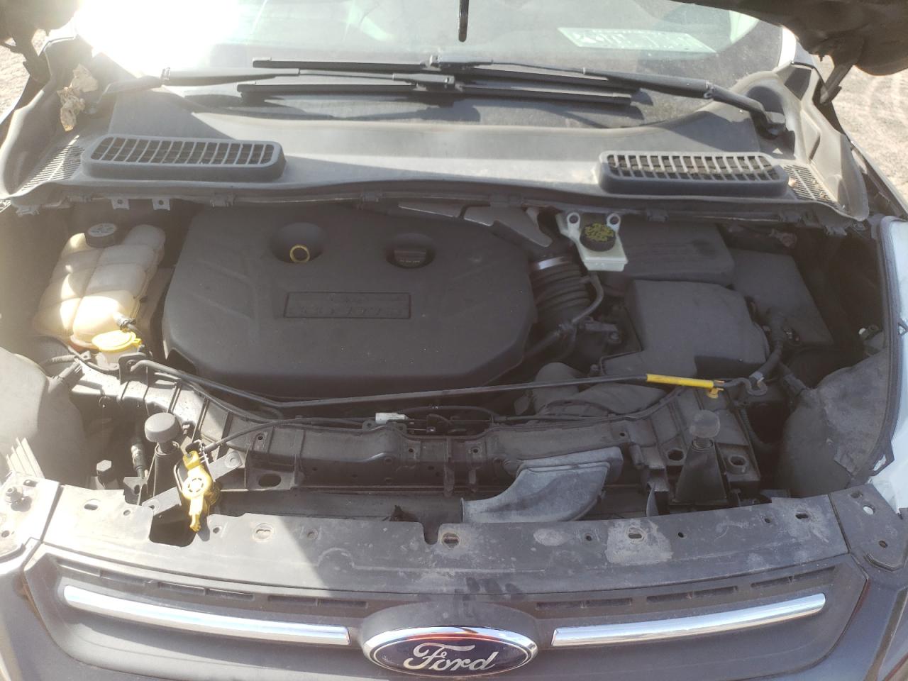 Photo 7 from auction – 2013 FORD ESCAPE SE with VIN 1FMCU0G95DUA18994