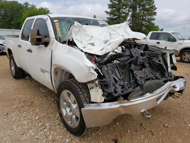 GMC SIERRA C15 2009 with VIN 3GTEC23JX9G183249 - Photo from auction