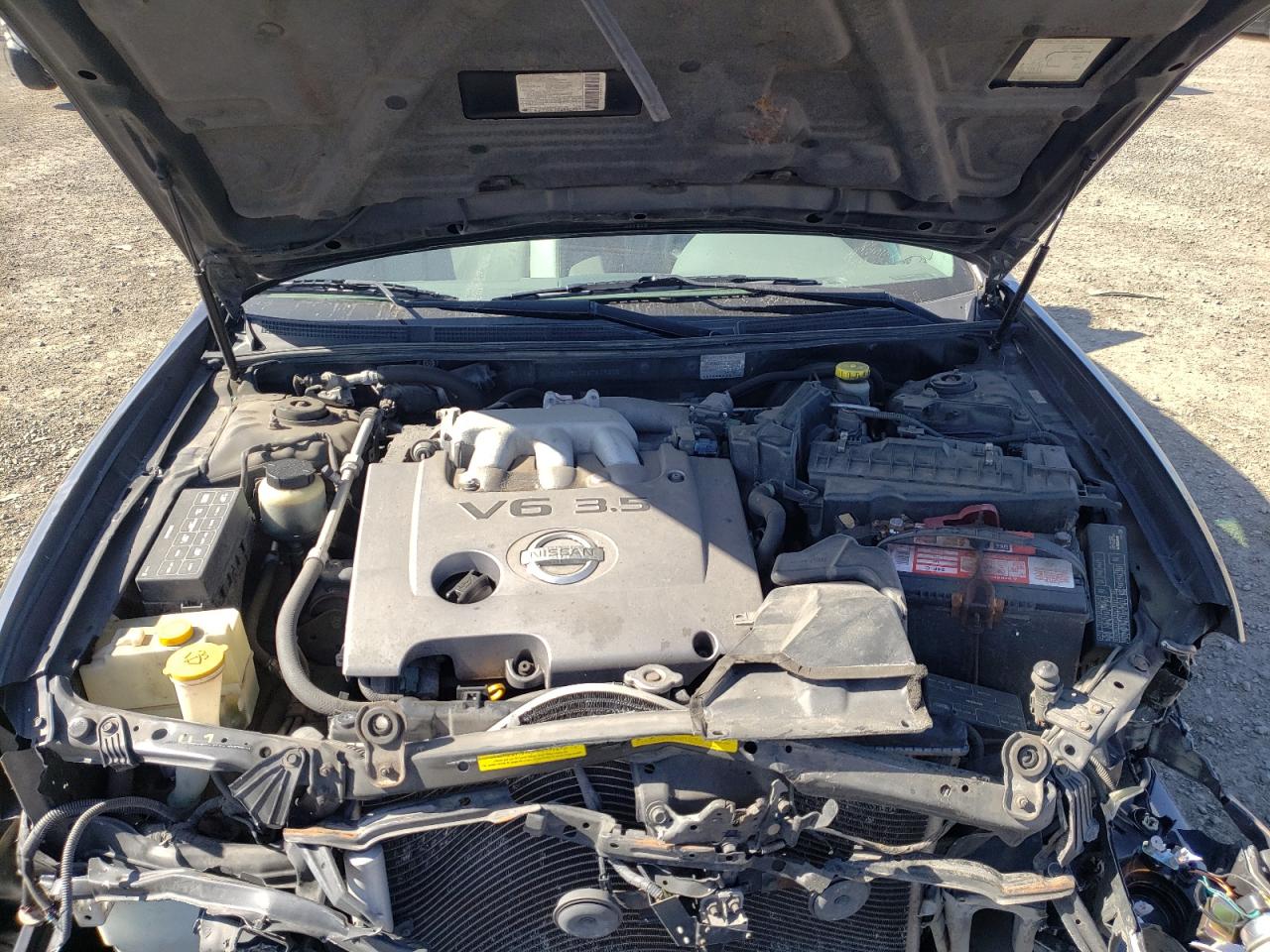 Фото 7 с аукциона – 2002 NISSAN MAXIMA с VIN JN1DA31D42T419300