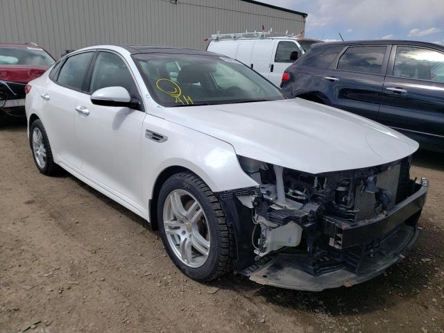 KIA OPTIMA EX 2016 with VIN 5XXGU4L34GG005808 - Photo from auction