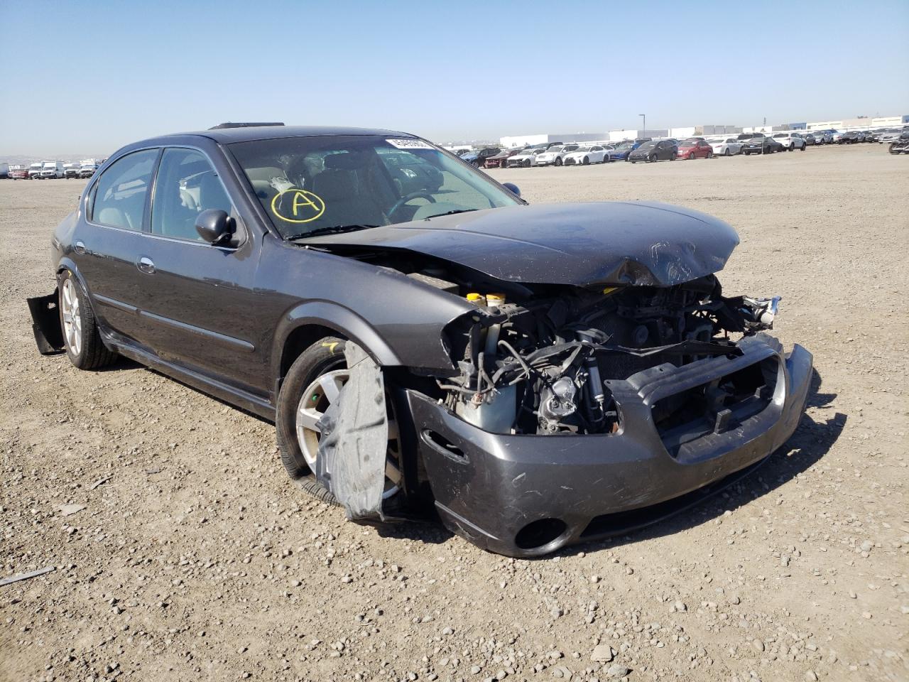 NISSAN MAXIMA 2002 с VIN JN1DA31D42T419300 - Фото с аукциона