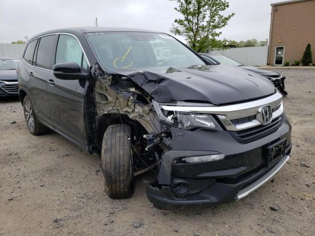 HONDA PILOT EXL 2020 with VIN 5FNYF6H58LB042491 - Photo from auction