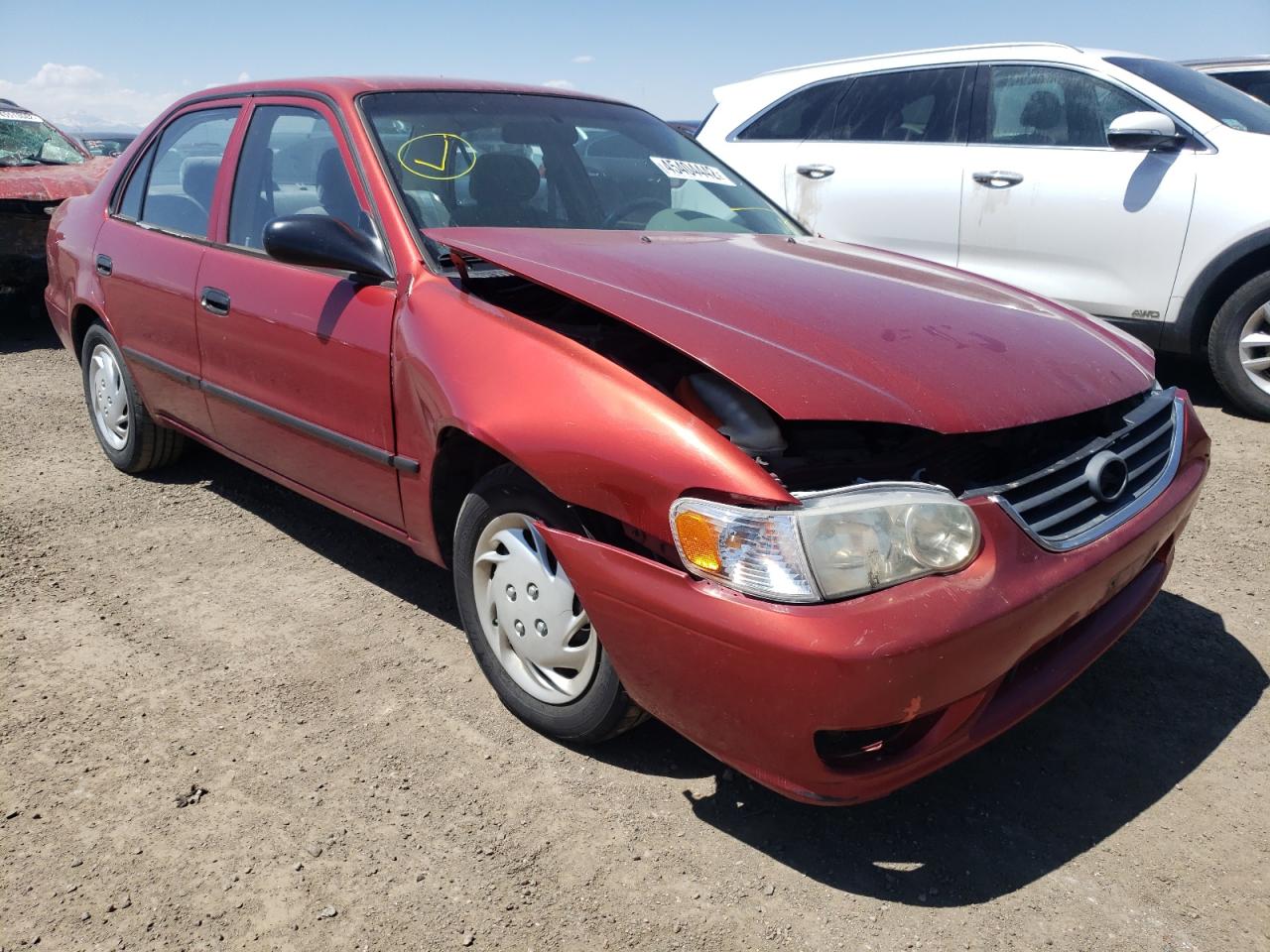TOYOTA COROLLA CE 2001 with VIN 1NXBR12E21Z495420 - Photo from auction