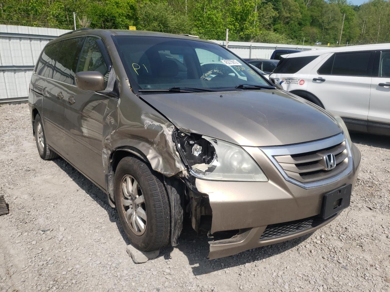 HONDA ODYSSEY EX 2008 with VIN 5FNRL38498B412762 - Photo from auction