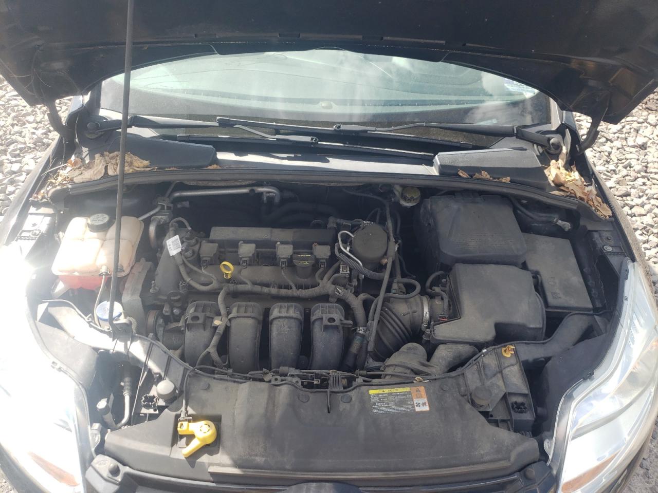 Photo 7 from auction – 2012 FORD FOCUS SEL with VIN 1FAHP3M29CL478566