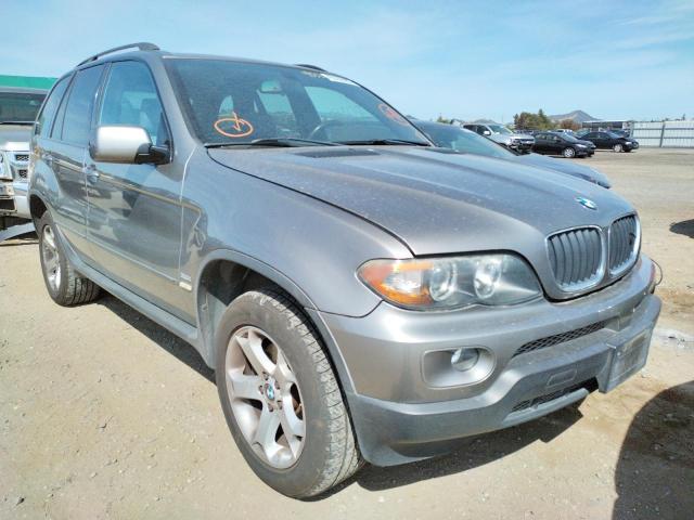 BMW X5 3.0I 2005 with VIN 5UXFA13565LY06109 - Photo from auction