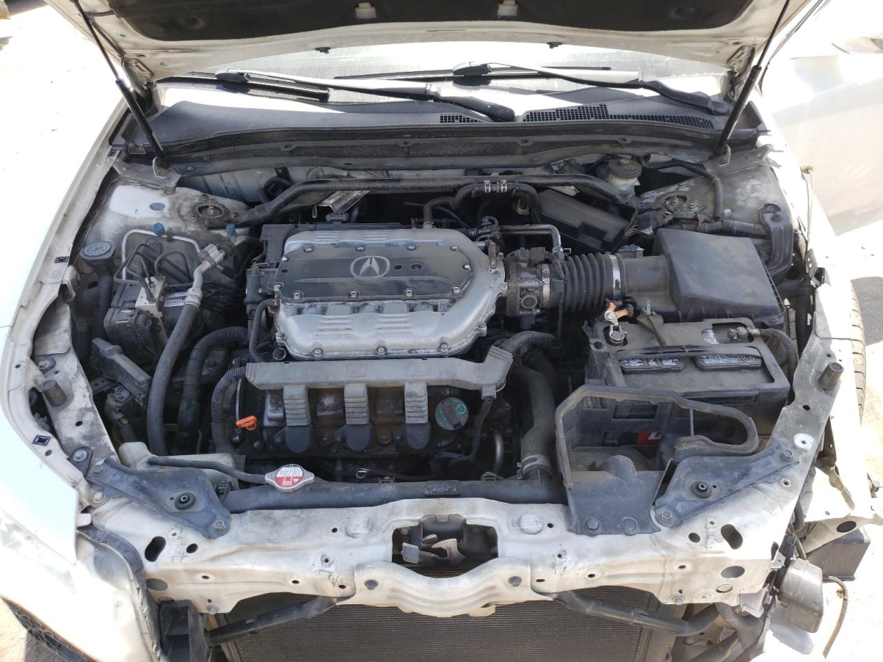 Photo 7 from auction – 2009 ACURA TL with VIN 19UUA862X9A021842