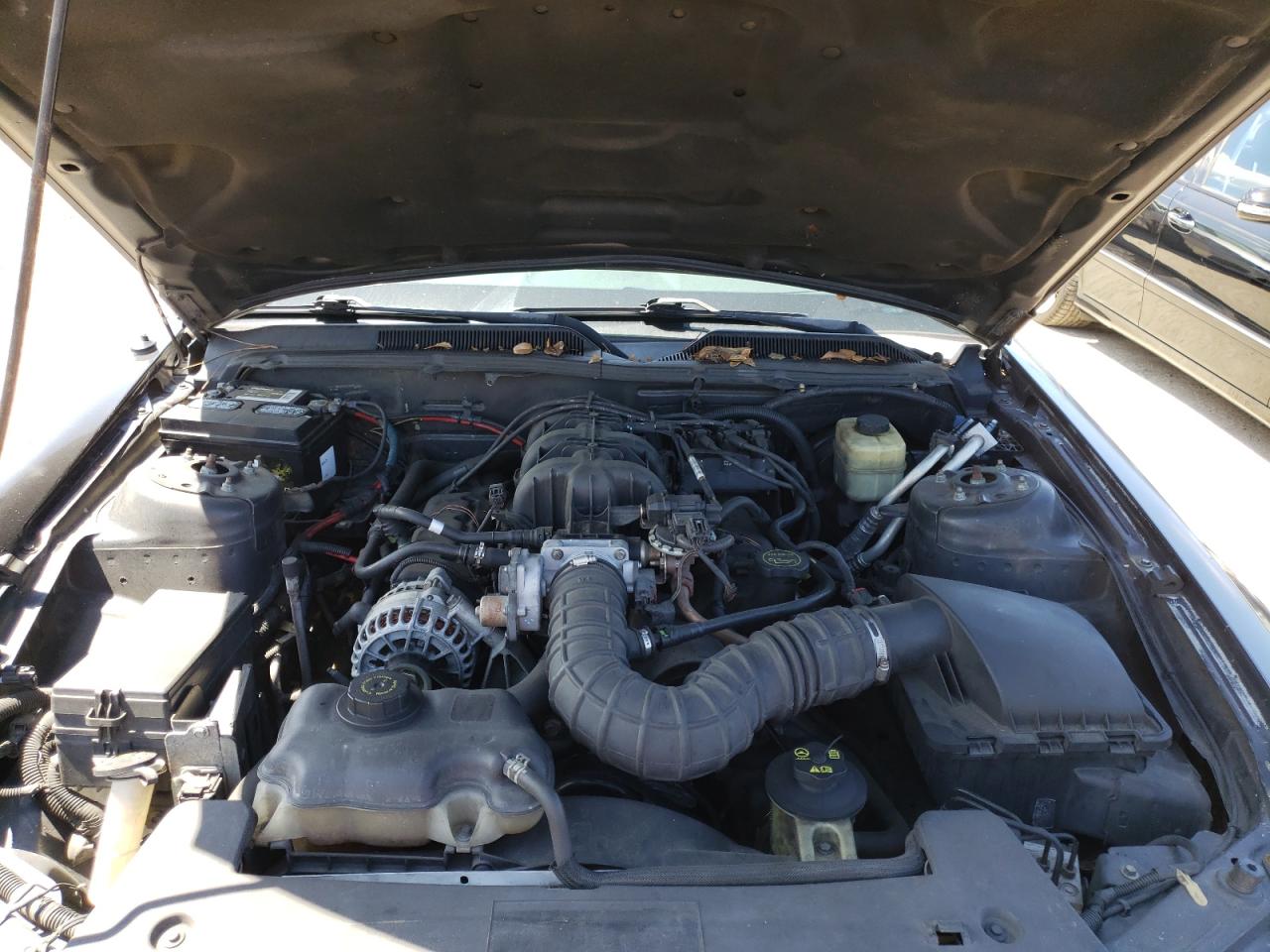 Photo 7 from auction – 2007 FORD MUSTANG with VIN 1ZVHT80N475253241