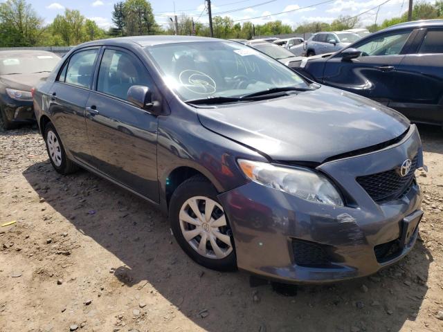 TOYOTA COROLLA BA 2010 with VIN 1NXBU4EE3AZ325398 - Photo from auction