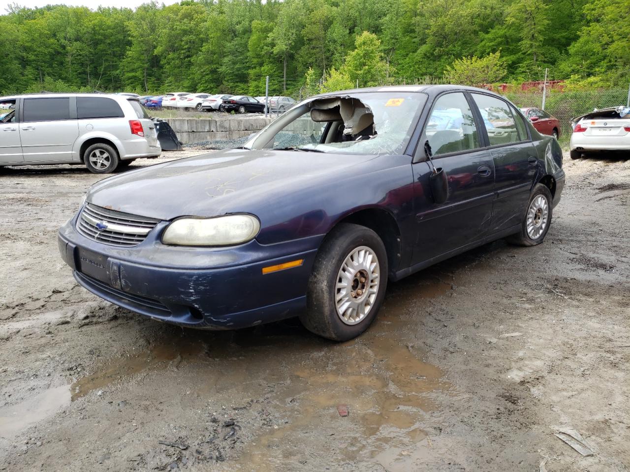 Photo 2 from auction – 2001 CHEVROLET MALIBU with VIN 1G1ND52J216112237
