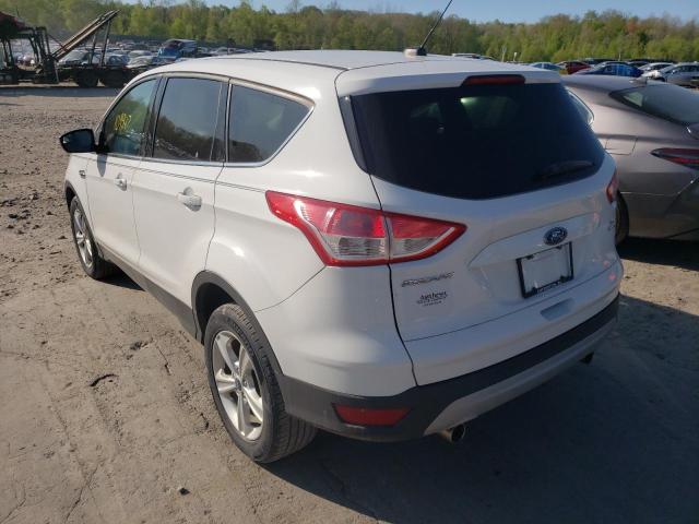 Photo 3 from auction – 2013 FORD ESCAPE SE with VIN 1FMCU9GX3DUC84386