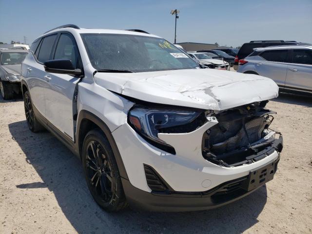 GMC TERRAIN SL 2019 with VIN 3GKALMEV8KL127550 - Photo from auction