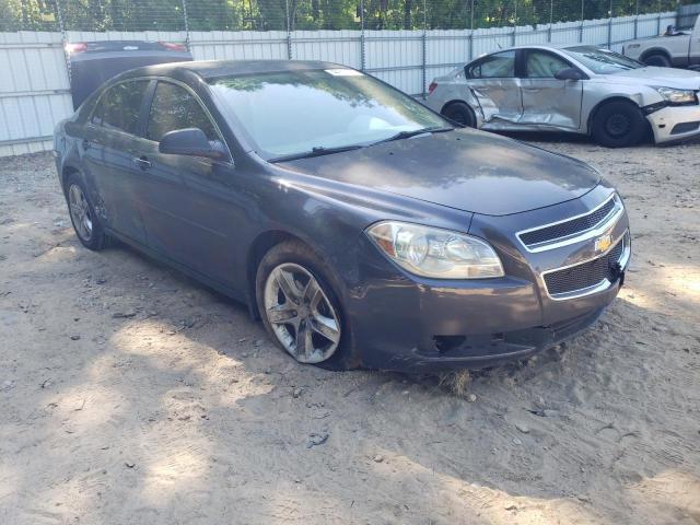 CHEVROLET MALIBU 2011 with VIN 1G1ZB5E16BF298465 - Photo from auction