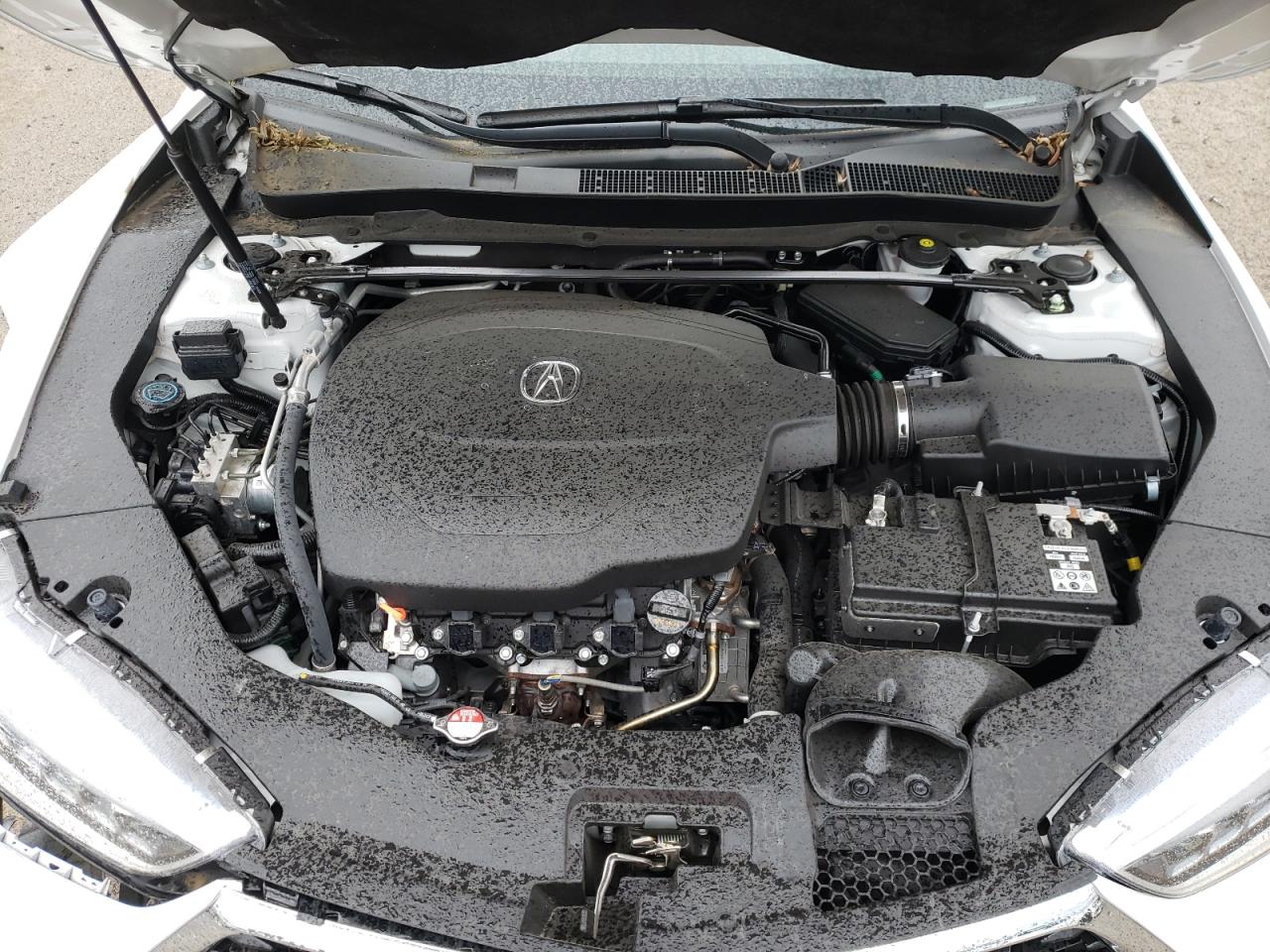 Photo 7 from auction – 2019 ACURA TLX with VIN 19UUB2F32KA010147