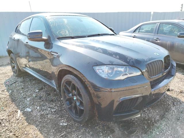Photo 1 from auction – 2010 BMW X6 M with VIN 5YMGZ0C56ALK13750