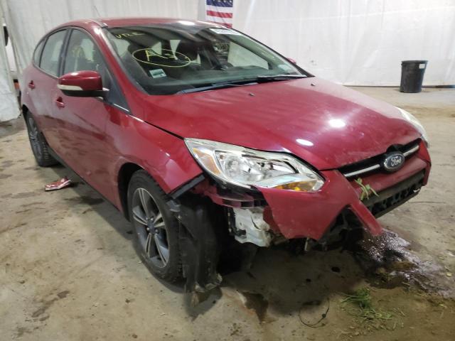 FORD FOCUS SE 2012 with VIN 1FAHP3K23CL213404 - Photo from auction