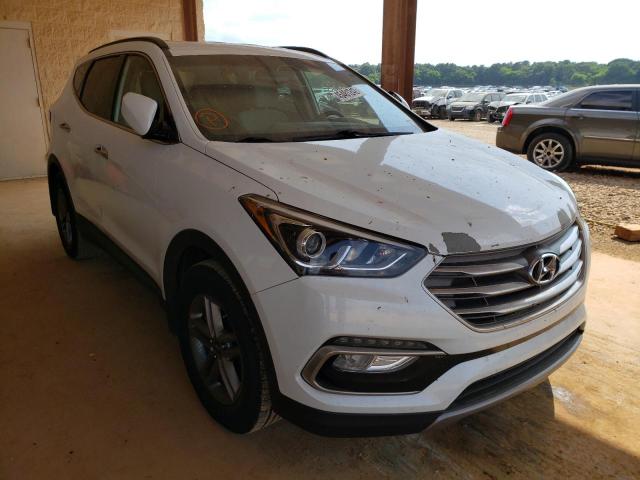 HYUNDAI SANTA FE S 2017 with VIN 5NMZU3LB0HH010081 - Photo from auction