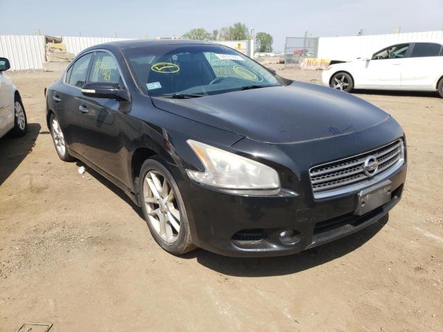 NISSAN MAXIMA S 2009 with VIN 1N4AA51E99C802198 - Photo from auction