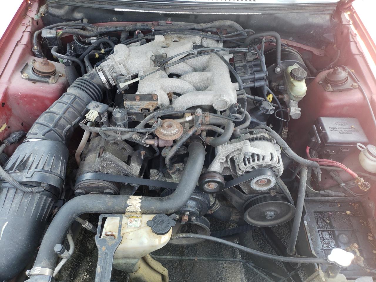 Photo 7 from auction – 2001 FORD MUSTANG with VIN 1FAFP40461F105906