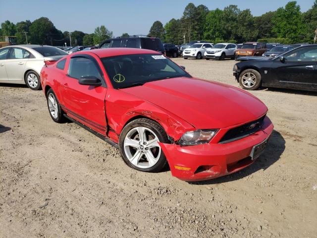 FORD MUSTANG 2010 with VIN 1ZVBP8AN8A5116884 - Photo from auction