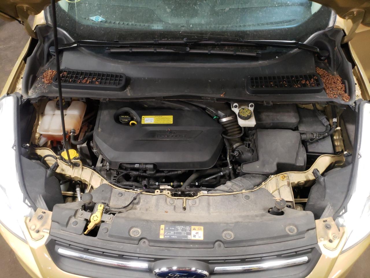 Photo 7 from auction – 2014 FORD ESCAPE SE with VIN 1FMCU9GX0EUD01341