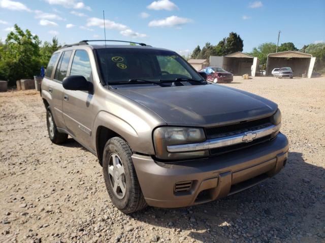 CHEVROLET TRAILBLAZE 2002 with VIN 1GNDS13S222366913 - Photo from auction