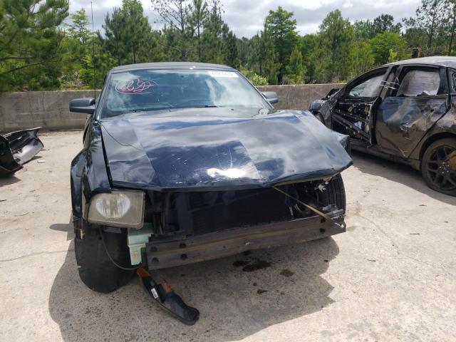 Photo 9 from auction – 2005 FORD MUSTANG with VIN 1ZVFT84N855182804