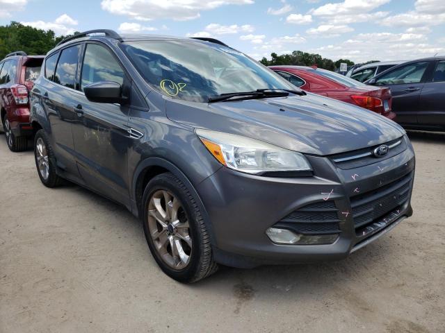FORD ESCAPE SE 2014 with VIN 1FMCU0G97EUD37976 - Photo from auction
