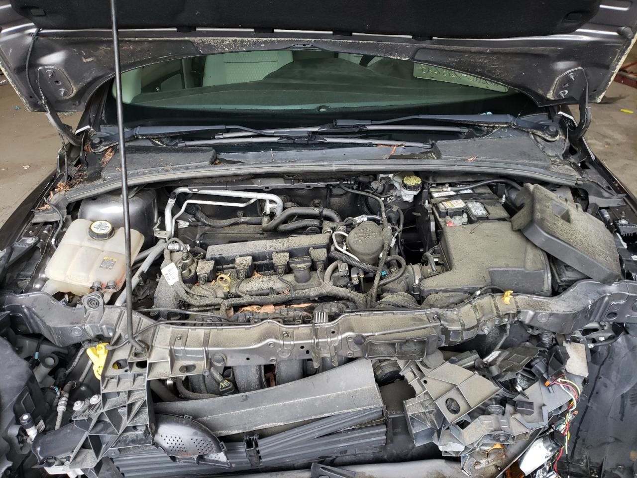 Photo 7 from auction – 2012 FORD FOCUS SEL with VIN 1FAHP3H2XCL309232