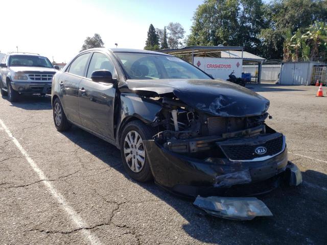 KIA FORTE EX 2012 with VIN KNAFU4A24C5557827 - Photo from auction