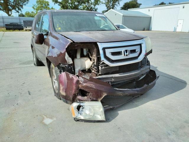 HONDA PILOT EXL 2009 with VIN 5FNYF38569B008315 - Photo from auction