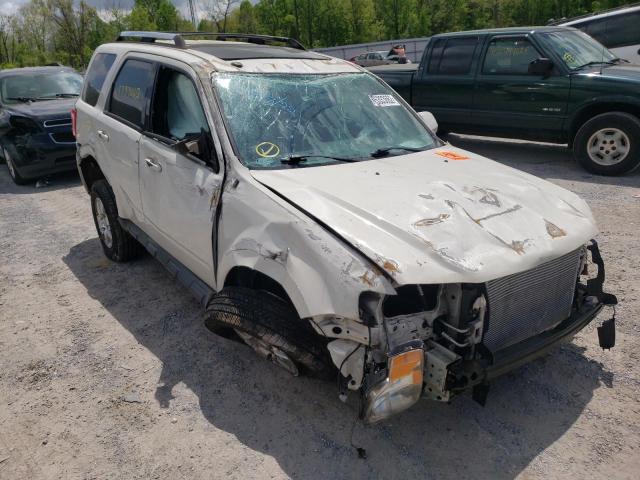 FORD ESCAPE LIM 2010 with VIN 1FMCU9EG8AKD01290 - Photo from auction