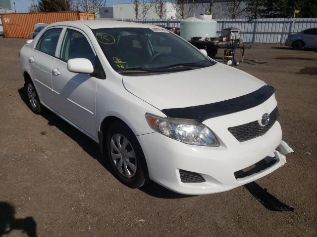 TOYOTA COROLLA BA 2010 with VIN 2T1BU4EE2AC193493 - Photo from auction