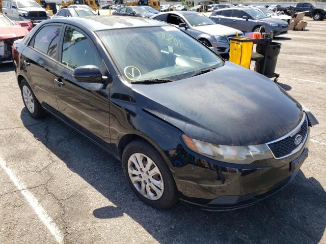 KIA FORTE EX 2011 with VIN KNAFU4A25B5451286 - Photo from auction