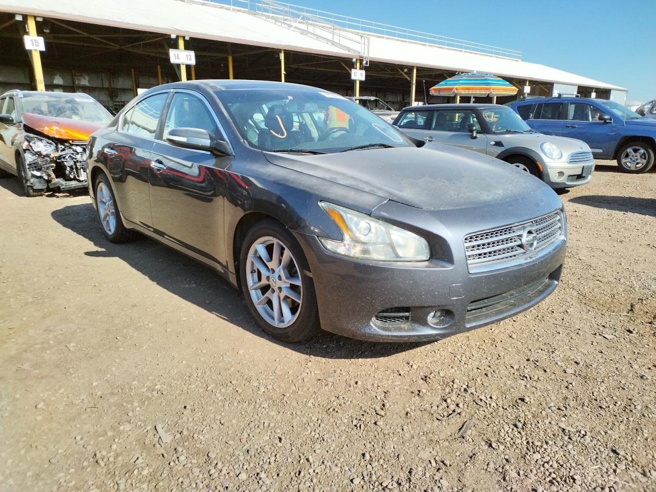 NISSAN MAXIMA S 2009 с VIN 1N4AA51E89C834799 - Фото с аукциона