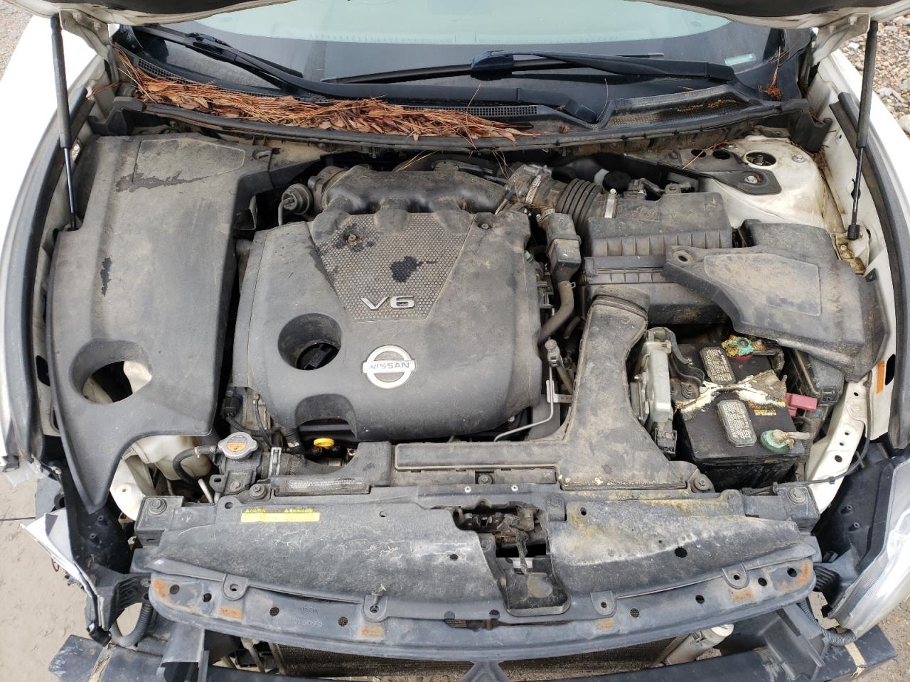 Photo 7 from auction – 2009 NISSAN MAXIMA S with VIN 1N4AA51E49C827977