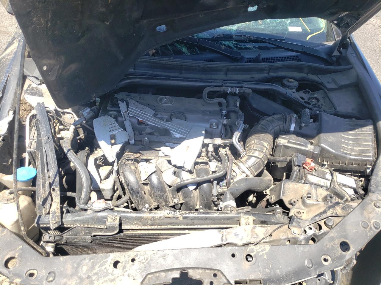 Photo 12 from auction – 2009 ACURA TSX with VIN JH4CU26639C024554