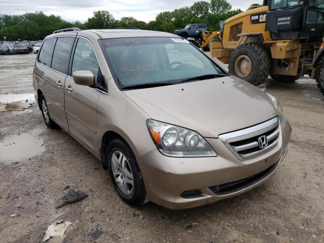 HONDA ODYSSEY EX 2007 with VIN 5FNRL38667B405896 - Photo from auction