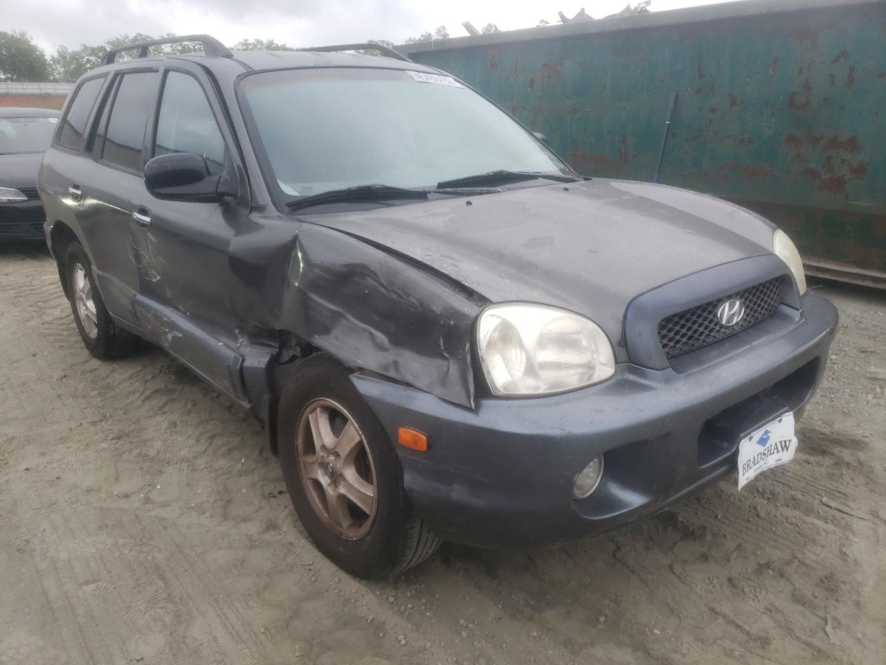 HYUNDAI SANTA FE G 2003 with VIN KM8SC13E63U513095 - Photo from auction
