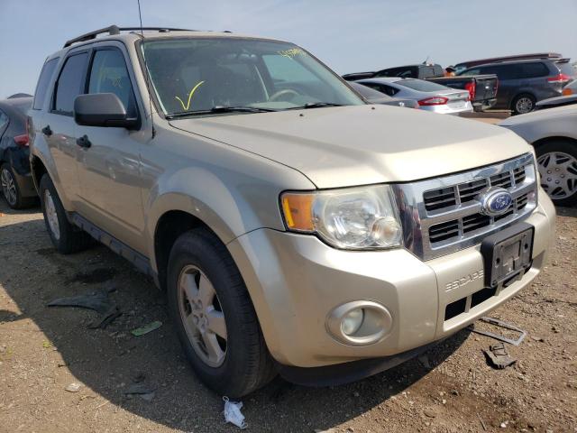 FORD ESCAPE XLT 2010 with VIN 1FMCU0DG8AKA56102 - Photo from auction