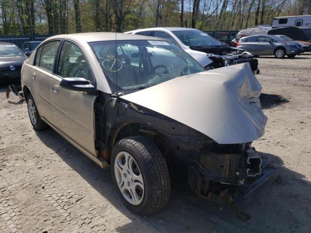 SATURN ION LEVEL 2005 with VIN 1G8AJ52F65Z119443 - Photo from auction