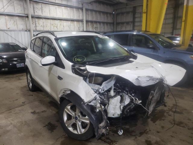 FORD ESCAPE SE 2016 with VIN 1FMCU9GX8GUA30273 - Photo from auction