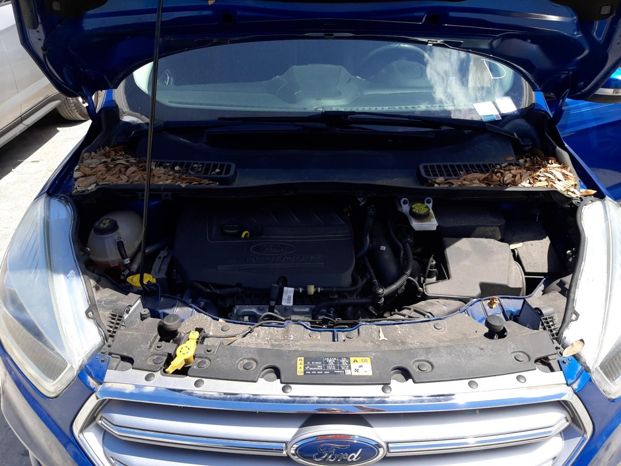 Photo 7 from auction – 2017 FORD ESCAPE TIT with VIN 1FMCU0JDXHUD05265