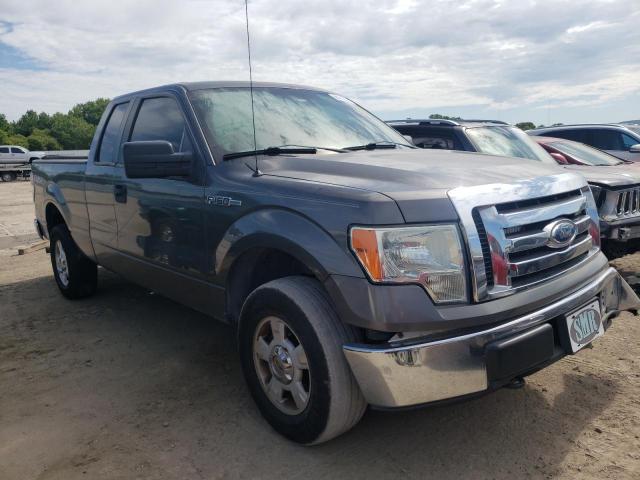 FORD F150 SUPER 2009 with VIN 1FTRX14819KC73443 - Photo from auction