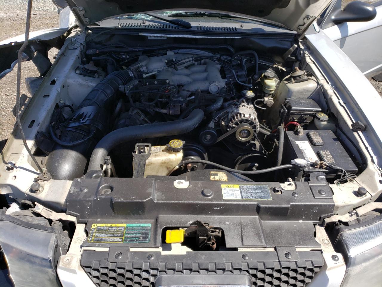 Photo 7 from auction – 2003 FORD MUSTANG with VIN 1FAFP40423F325725