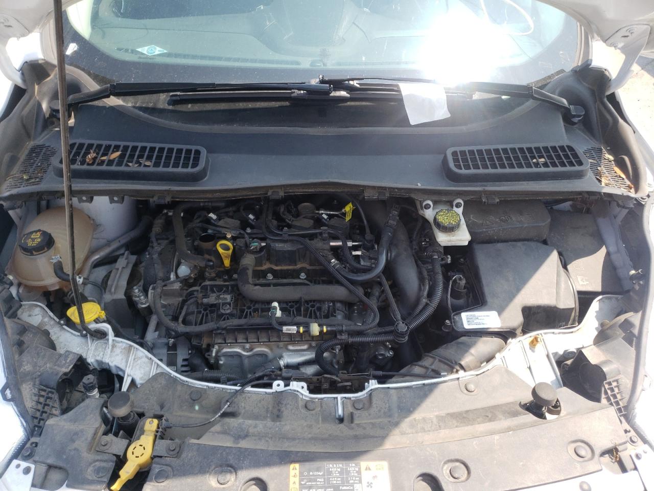 Photo 7 from auction – 2019 FORD ESCAPE SE with VIN 1FMCU9GD5KUA45912